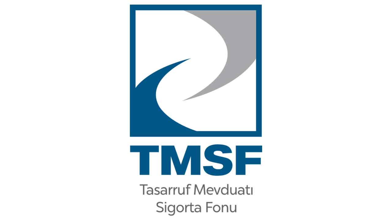 Üç şirket TMSF tarafından satışa çıkıyor